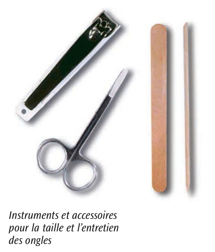 Instruments et accessoires pour la taille et l'entretien des ongles
